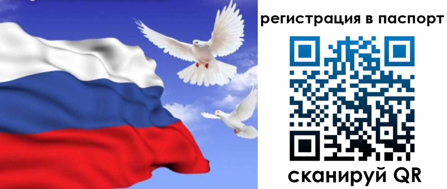 купить прописку в Кировграде